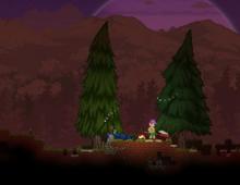 Starbound: A Tangled Quest